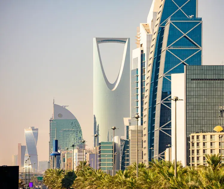 Saudi PIF annualised total shareholder returns fall to 5.8% as some assets lose value