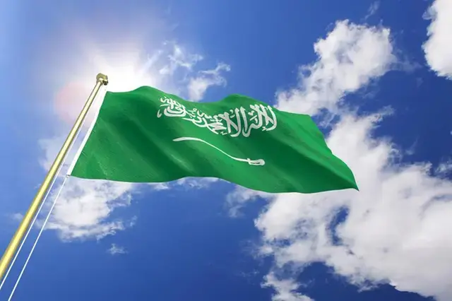 Saudi Arabia shuts 267 digital platforms to boost unified government services
