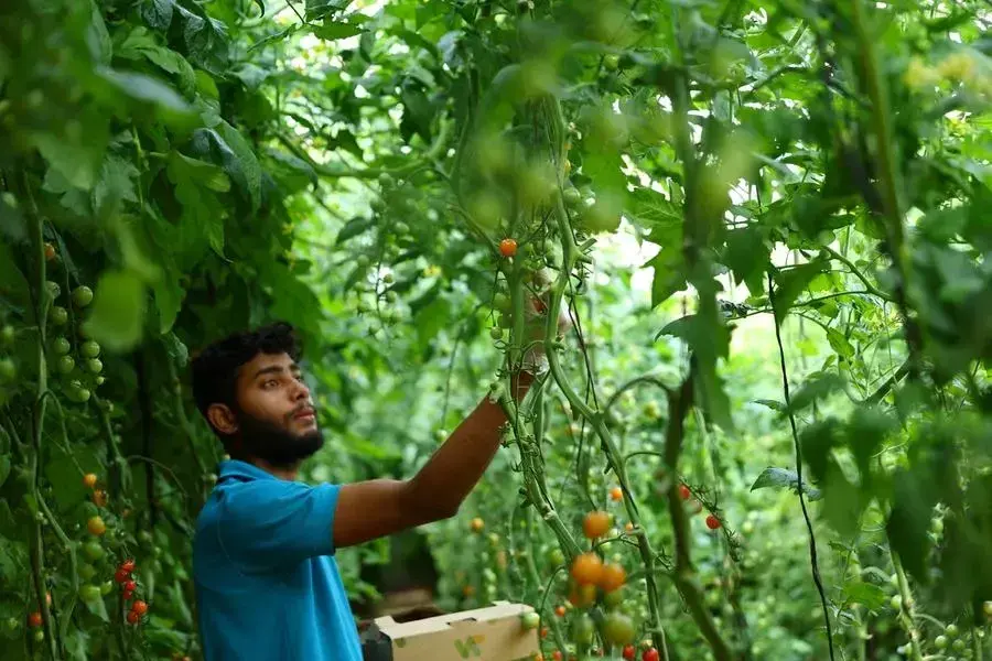 UAE reinforces global food standards at Codex meetings in Geneva