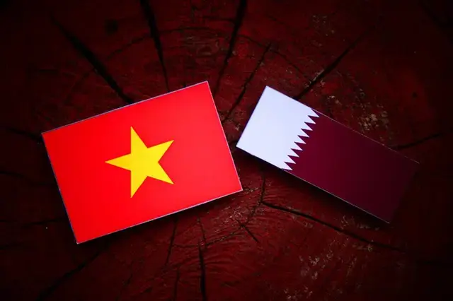 Qatar-Vietnam trade volume surges to $770mln