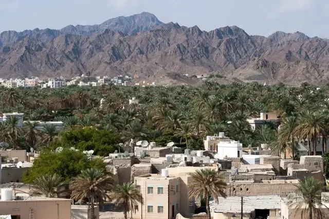 Oman's first quarter budget revenue down falls as oil income drops