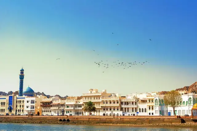 FTA offers Omani exports competitive advantage