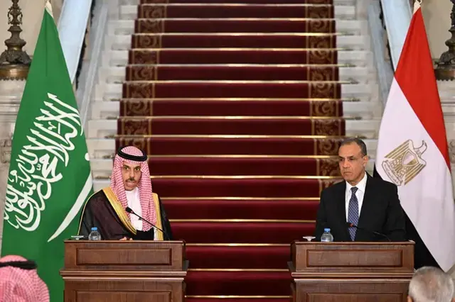 Saudi-Egyptian cooperation crucial for regional security: Bin Farhan
